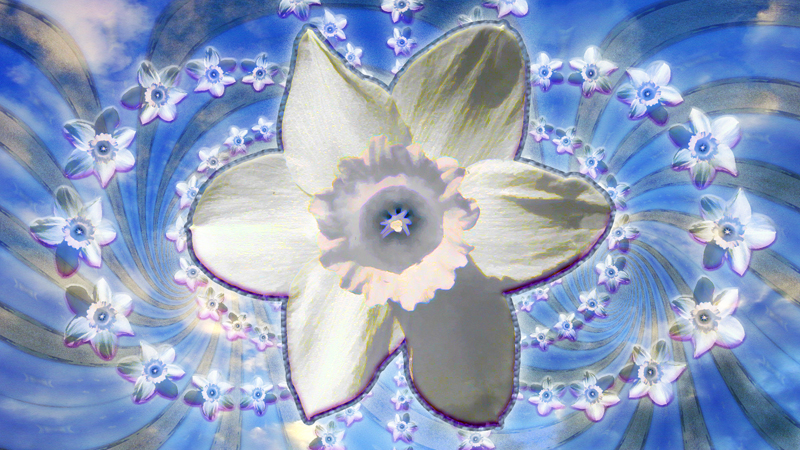 Flower Symbol