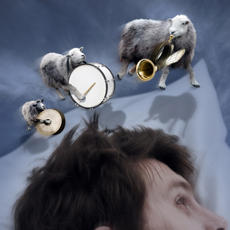 Sheep Sleep Music